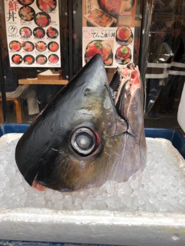 C63176B9-F3B4-49EB-AB21-AD943DFFE3F5