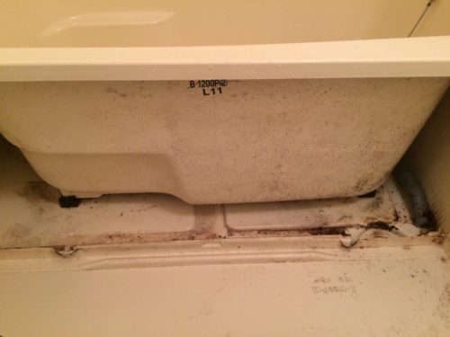 FLAT34豊津321号室 ハウスクリー_180413_0005